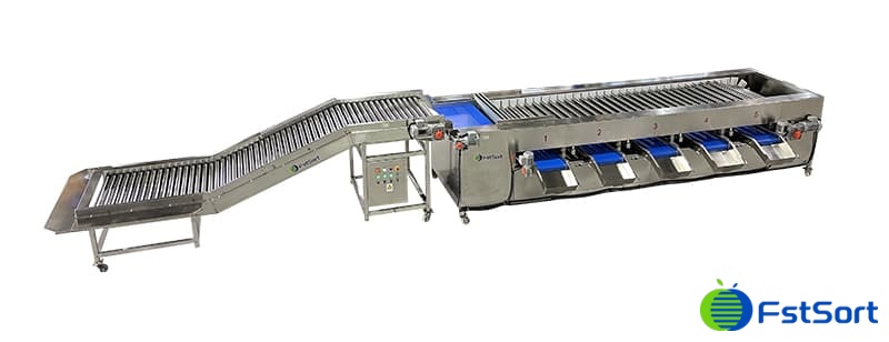 images/1717576069112eggplant sorting grading machine.jpg